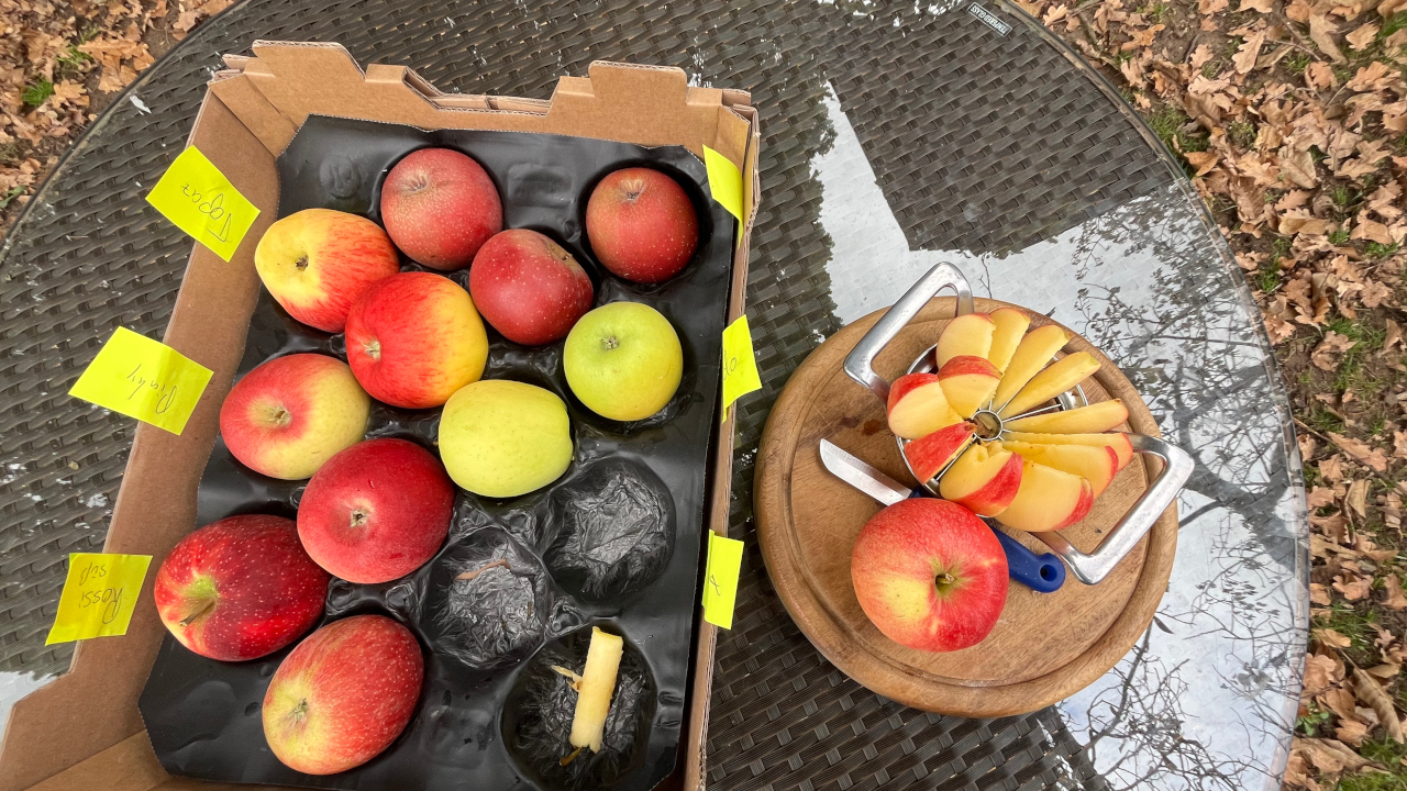 Unser erster Ausflug