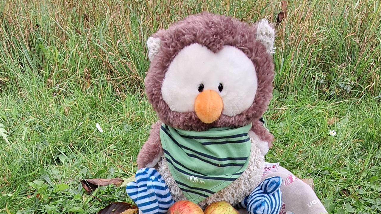 Besuch der Streuobstwiese zum Thema Apfel