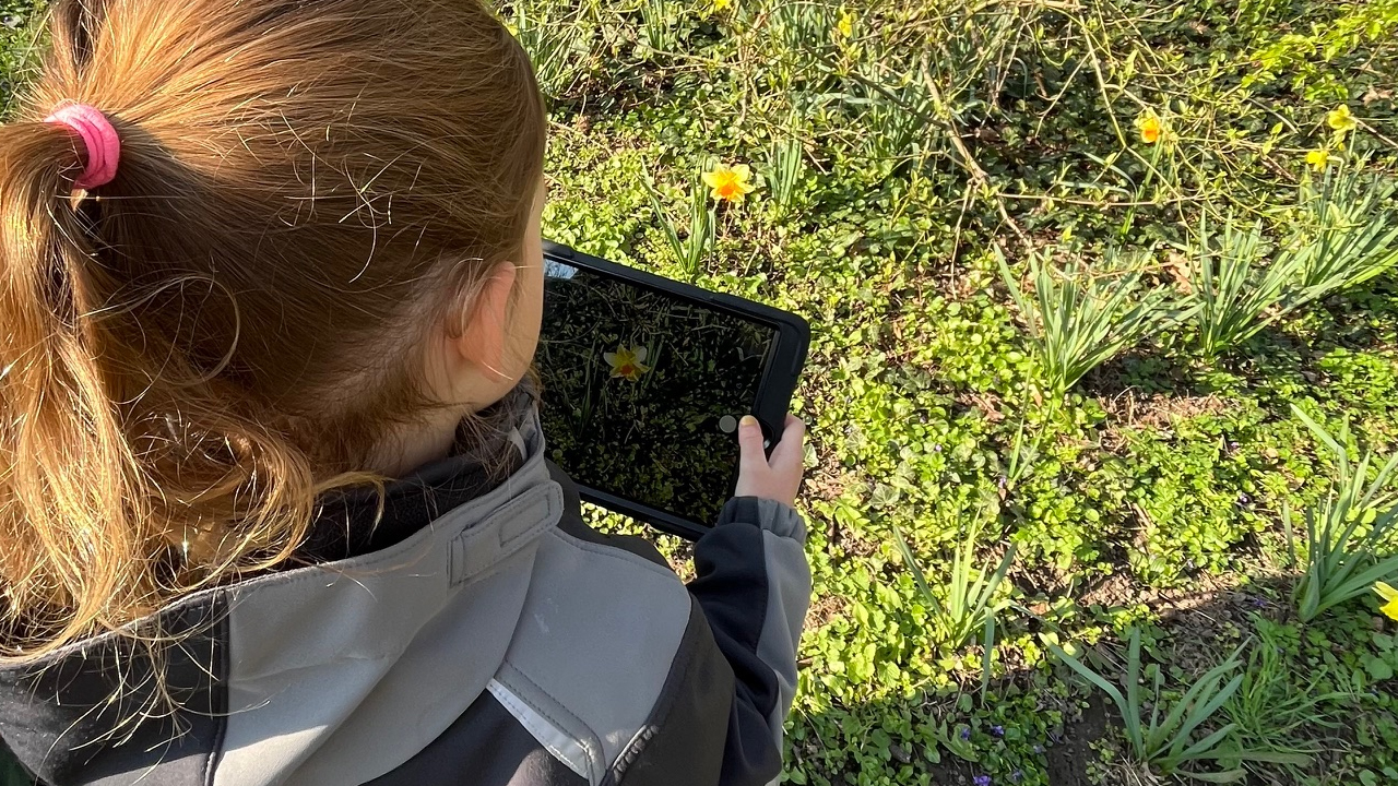 Wir suchen den Frühling