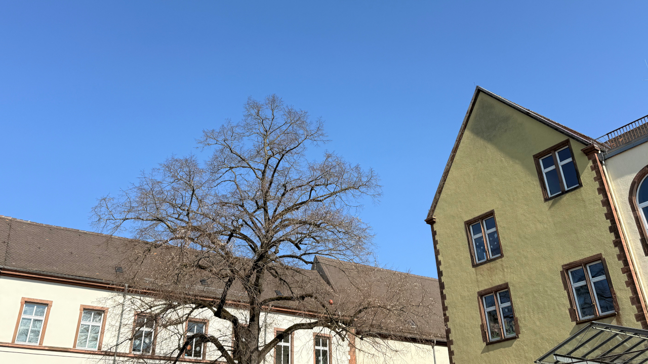 Frühlingssingen 2026